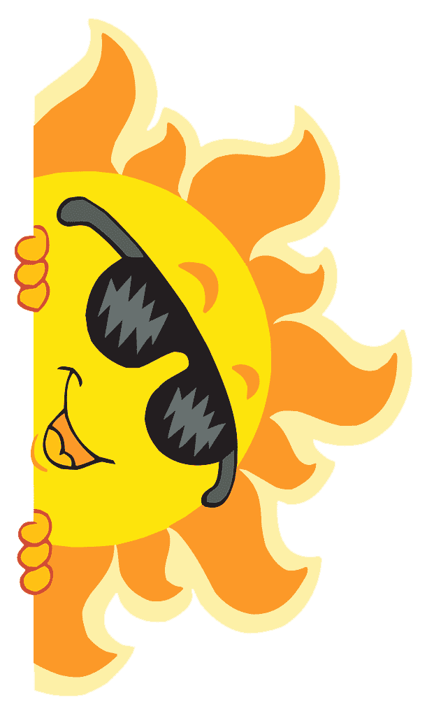 sole